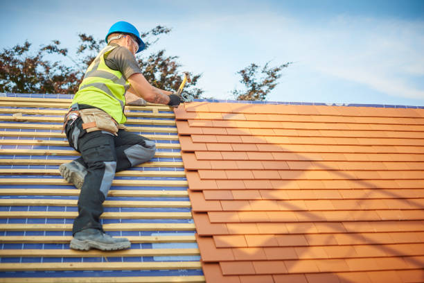 Best Rubber Roofing (EPDM, TPO)  in Montrose, PA